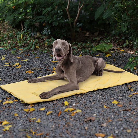 Folding Waterproof Portable Dog Car Seat Mat Dog Camping Mat